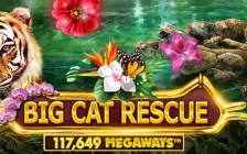 Big Cat Rescue Megaways