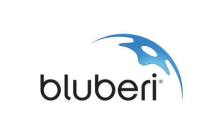 Bluberi