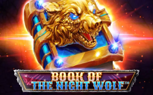 Book of the Night Wolf