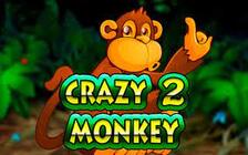 Crazy Monkey 2