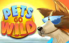 Pets Go Wild