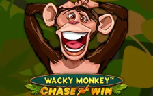 Wacky Monkey Chase’N’Win